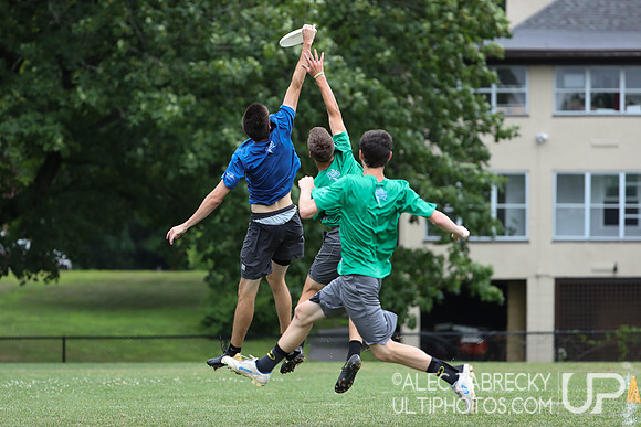 National Ultimate Training Camp - Session B 2019.