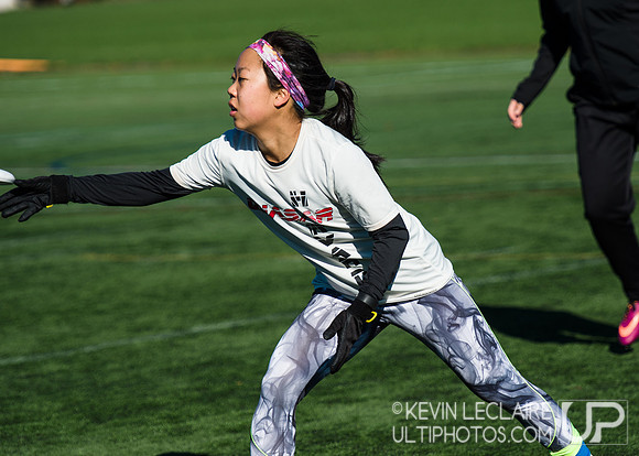 Harvard Ultimate Alumni v. current teams