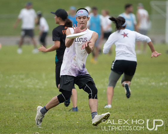 Revolution 2019: Lotus vs Firefly
