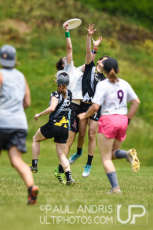 2019 New York Warm Up