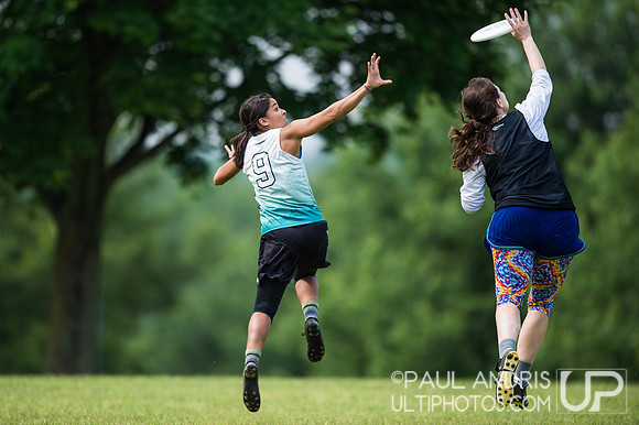 2019 New York Warm Up