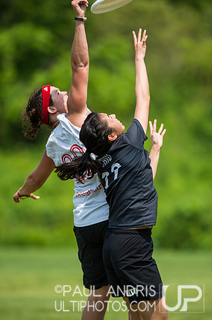 2019 New York Warm Up