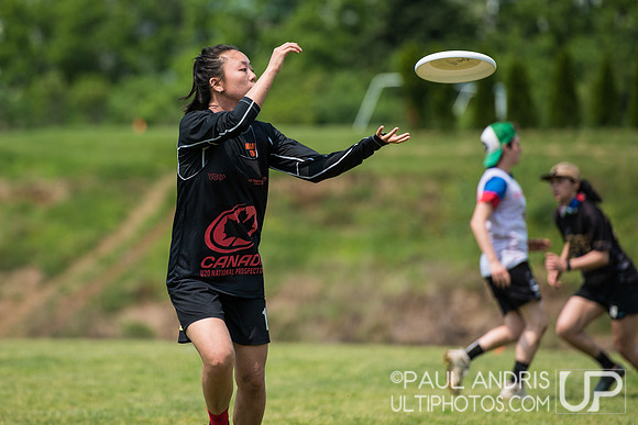 2019 New York Warm Up