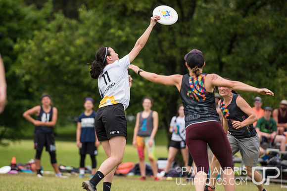 2019 New York Warm Up