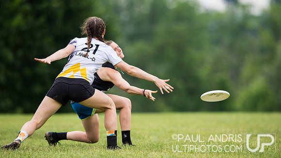 2019 New York Warm Up