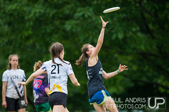 2019 New York Warm Up