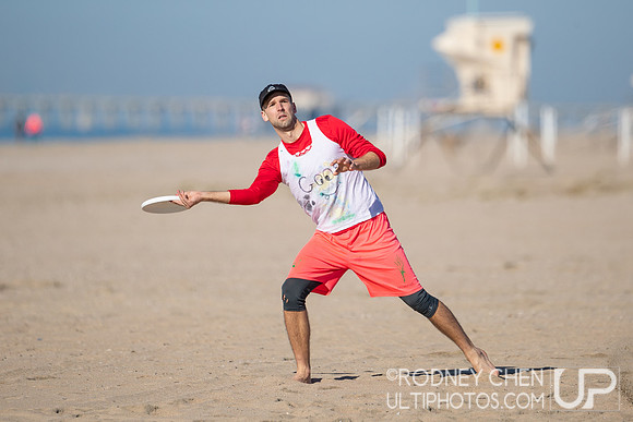 Lei Out 2024
