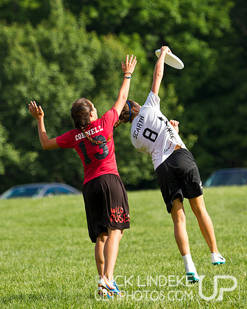 2014 USAU D-I College Champs Sunday Action
