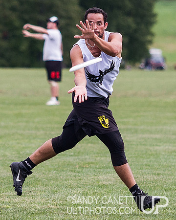 2013 USA Ultimate Metro New York Open Sectionals