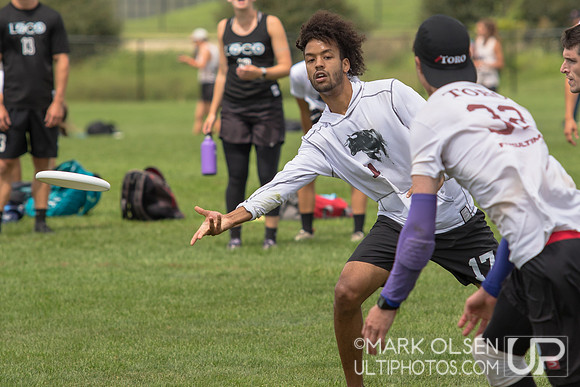 USAU Elite Select Challenge 2019 - Mixed Quarters