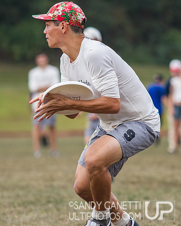 Metro NY Sectionals - Saturday, September 7, 2014