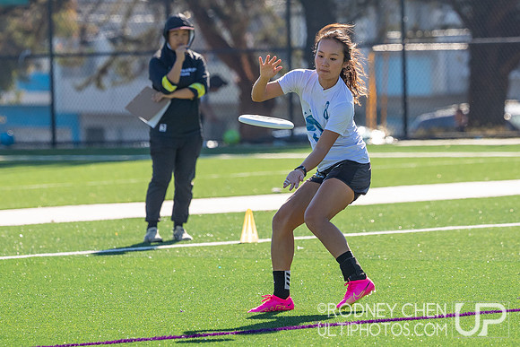 2023 Bay Area Falcons Tryouts