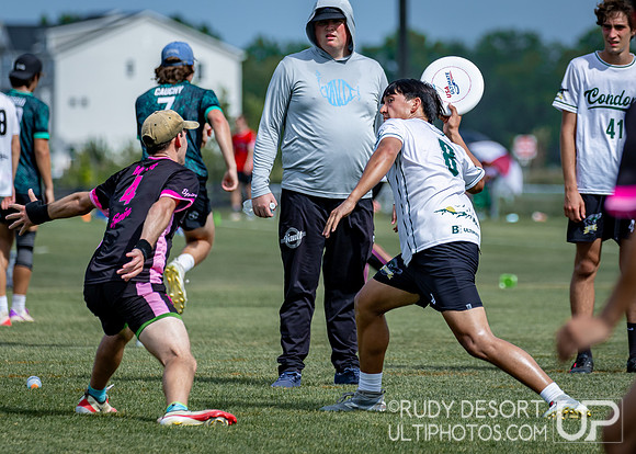 Elite-Select Challenge 2025
