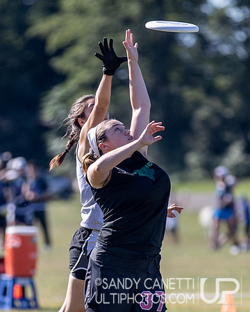 Metro New York Sectionals - Saturday