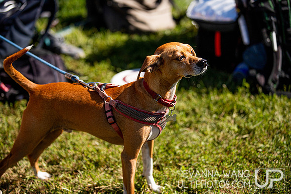 2019 Founder's Sectional Saturday