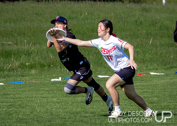 2024 USA Ultimate Division III College Championships ©