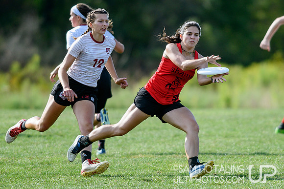 Pool Play at USAU Pro Championships 2019