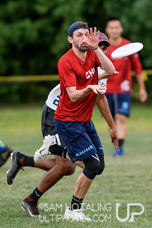 Open quarterfinals at the USAU Pro Championships. September 1, 2019