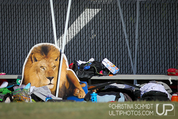USA Ultimate National Championships 2013 - Saturday Semifinals