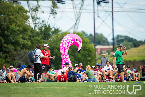 USAU Pro Championships