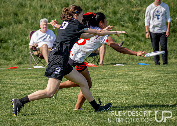 2024 USA Ultimate Division III College Championships ©