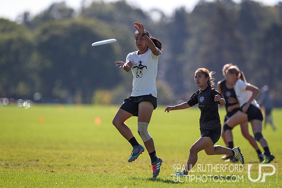 2019 USAU Northeast Regionals