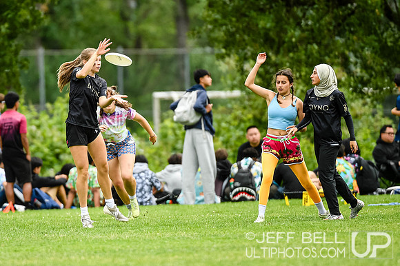 Vancouver Ultimate League Misfit Cup
