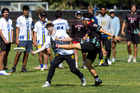 2025 USAU NorCal D1 Conference Championships