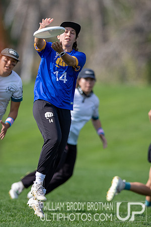 Day 1 of the USA Ultimate U.S. Open ICC Championships