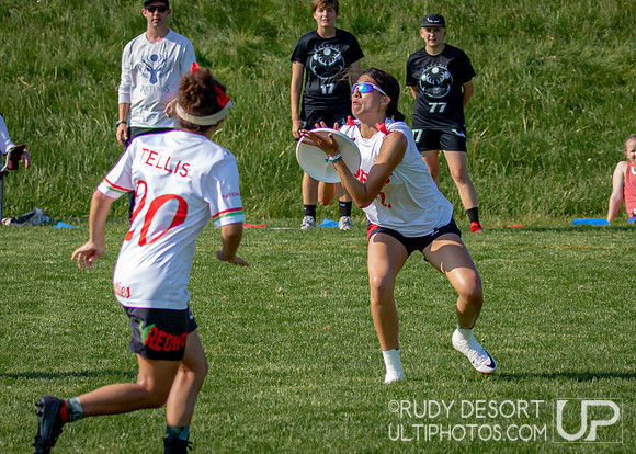 2024 USA Ultimate Division III College Championships ©