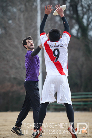 Winter Goaltimate League -- 2014