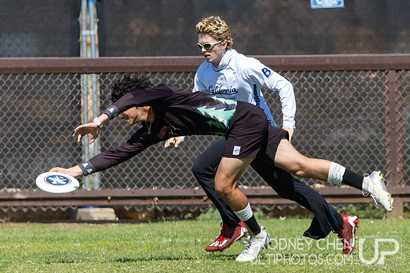 2025 USAU NorCal D1 Conference Championships