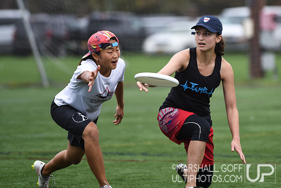 Harvard 40th Ultimate Reunion