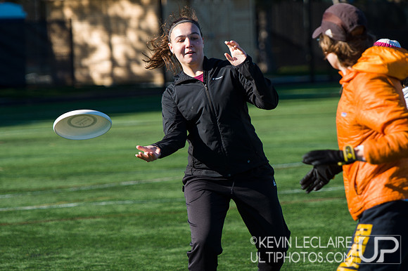 Harvard Ultimate Alumni v. current teams