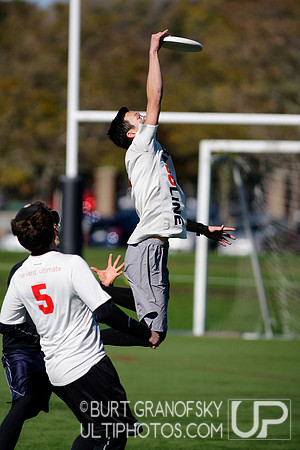 Bredline vs Alumni Game - Harvard Ultimate 40th Reunion