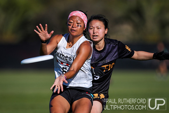 2019 USA Ultimate Club Championships