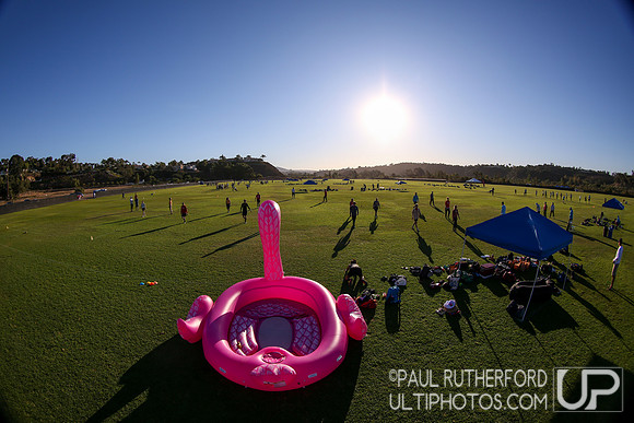 2019 USA Ultimate Club Championships