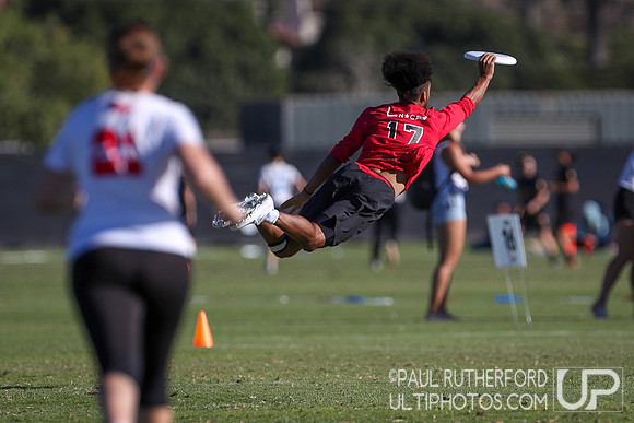 2019 USA Ultimate Club Championships