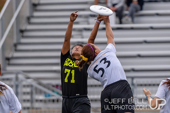 2019 USA Ultimate Club Championships