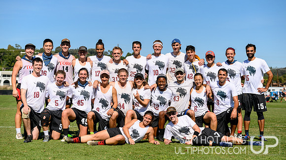 Toro at the USAU National Club Championships. October 24, 2019