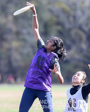 NYC POC Hat Tournament