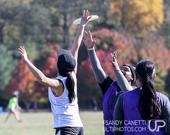 NYC POC Hat Tournament