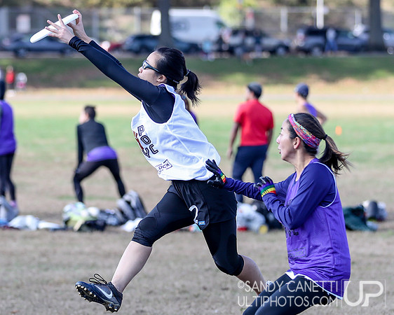 NYC POC Hat Tournament