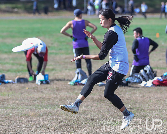 NYC POC Hat Tournament