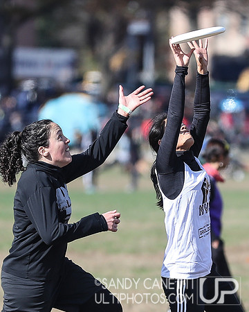 NYC POC Hat Tournament