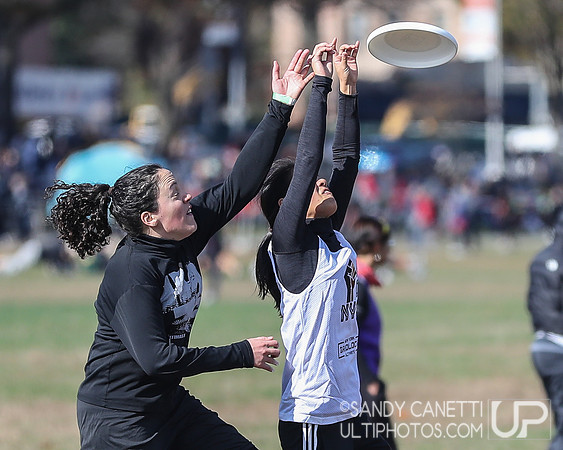 NYC POC Hat Tournament