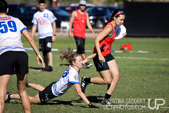 2019 USA Ultimate Club Championships