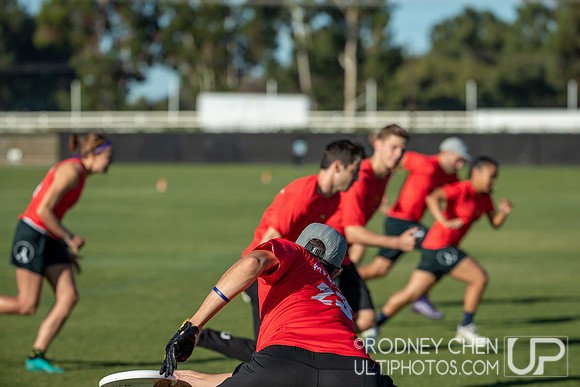 USAU Club National Championships 2019