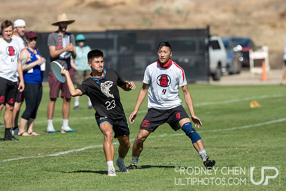 USAU Club National Championships 2019