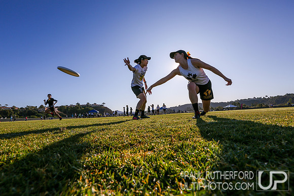 2019 USA Ultimate Club Championships